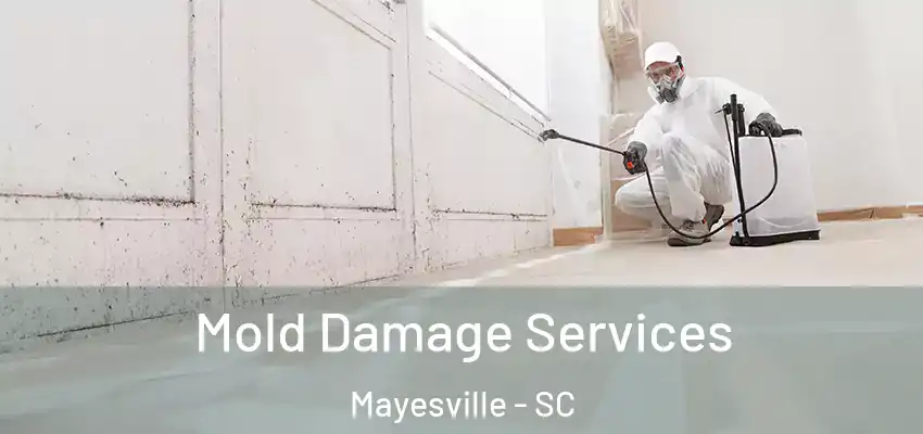 Mold Damage Services Mayesville - SC