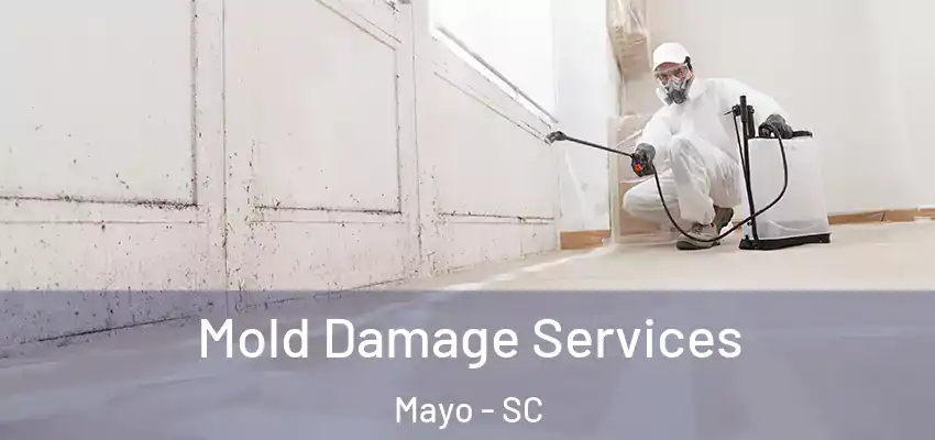  Mold Damage Services Mayo - SC