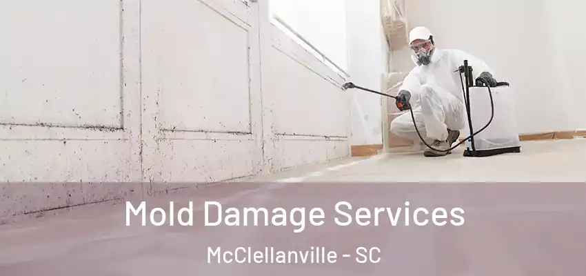 Mold Damage Services McClellanville - SC
