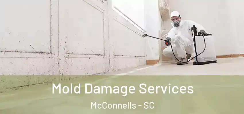 Mold Damage Services McConnells - SC