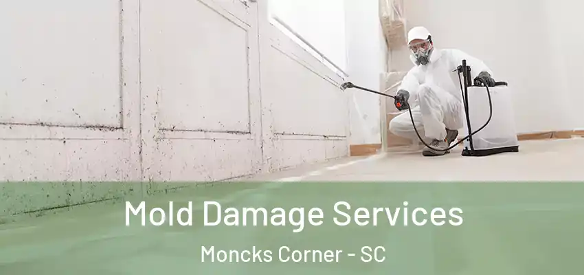  Mold Damage Services Moncks Corner - SC