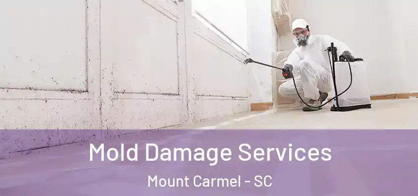  Mold Damage Services Mount Carmel - SC