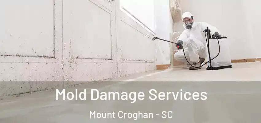 Mold Damage Services Mount Croghan - SC