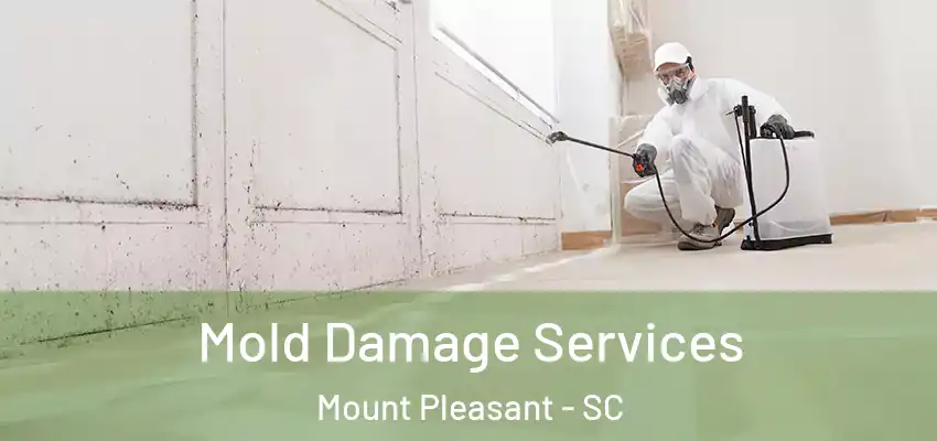  Mold Damage Services Mount Pleasant - SC