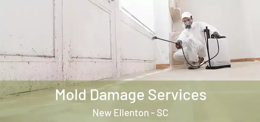 Mold Damage Services New Ellenton - SC