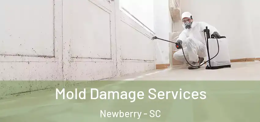 Mold Damage Services Newberry - SC