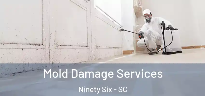 Mold Damage Services Ninety Six - SC