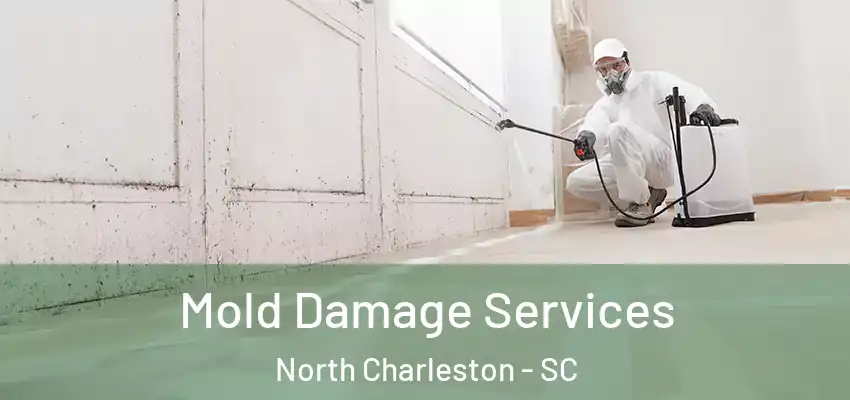  Mold Damage Services North Charleston - SC