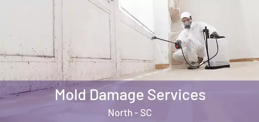 Mold Damage Services North - SC