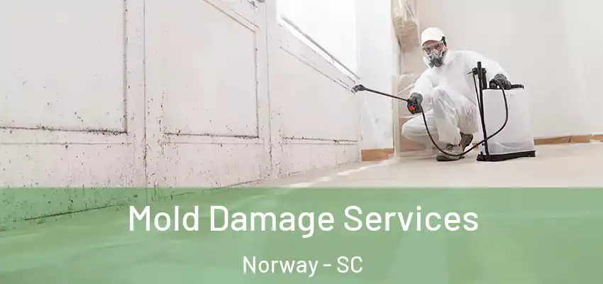Mold Damage Services Norway - SC