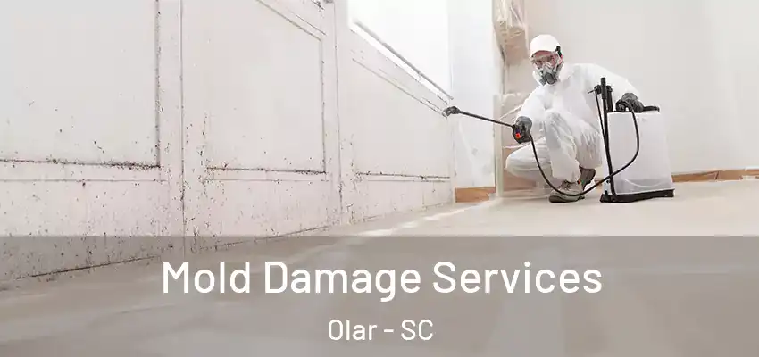 Mold Damage Services Olar - SC