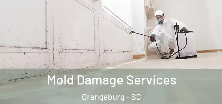 Mold Damage Services Orangeburg - SC