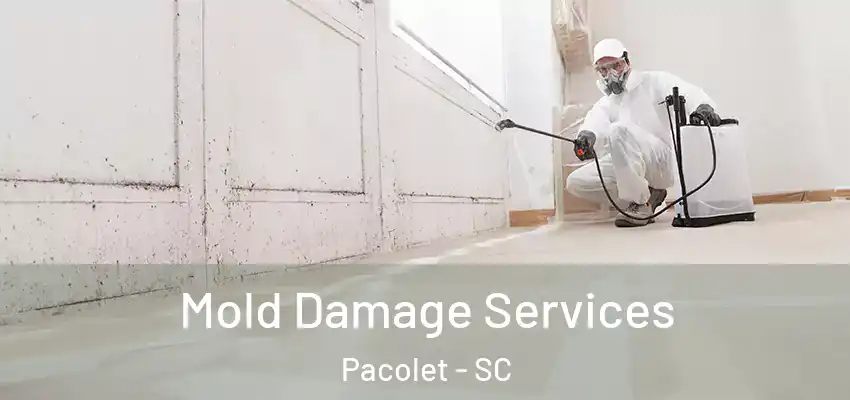 Mold Damage Services Pacolet - SC