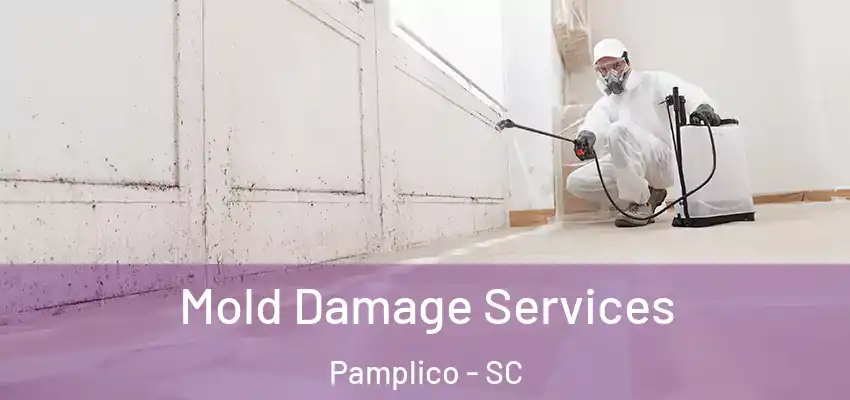 Mold Damage Services Pamplico - SC