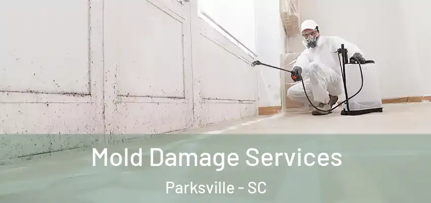  Mold Damage Services Parksville - SC