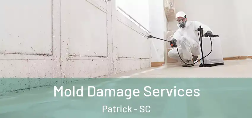  Mold Damage Services Patrick - SC
