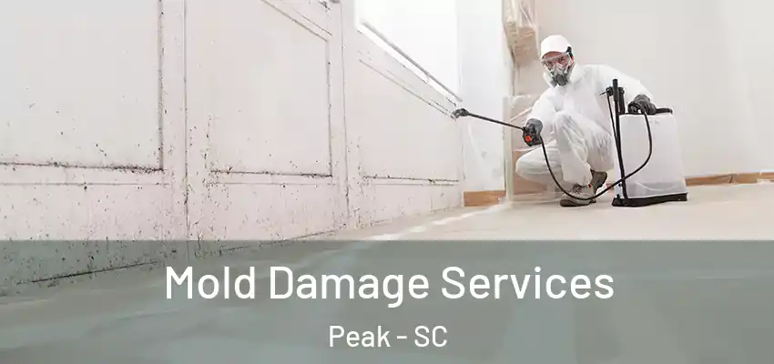 Mold Damage Services Peak - SC