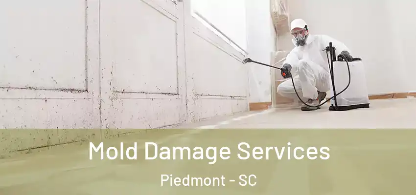  Mold Damage Services Piedmont - SC