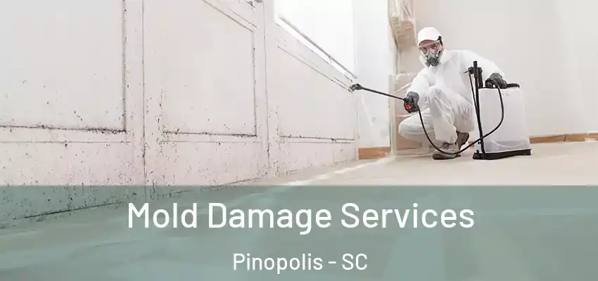  Mold Damage Services Pinopolis - SC