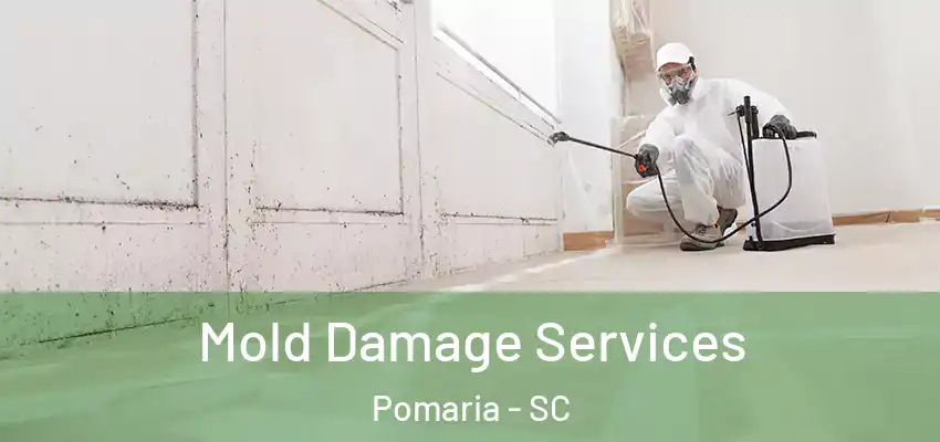  Mold Damage Services Pomaria - SC