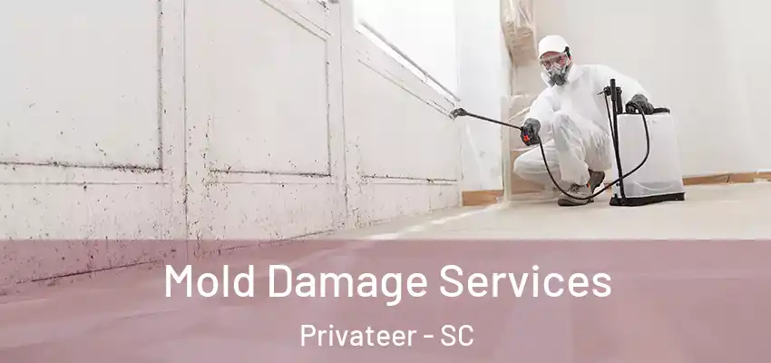 Mold Damage Services Privateer - SC