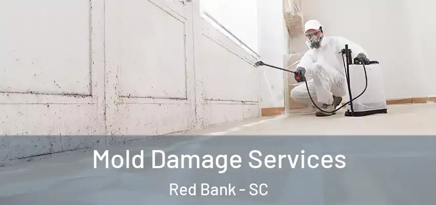  Mold Damage Services Red Bank - SC