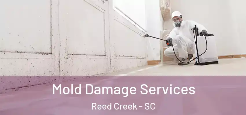  Mold Damage Services Reed Creek - SC