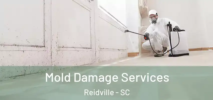 Mold Damage Services Reidville - SC