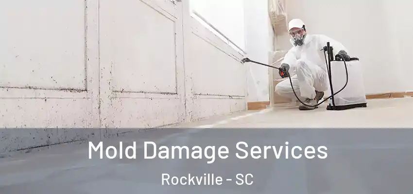 Mold Damage Services Rockville - SC