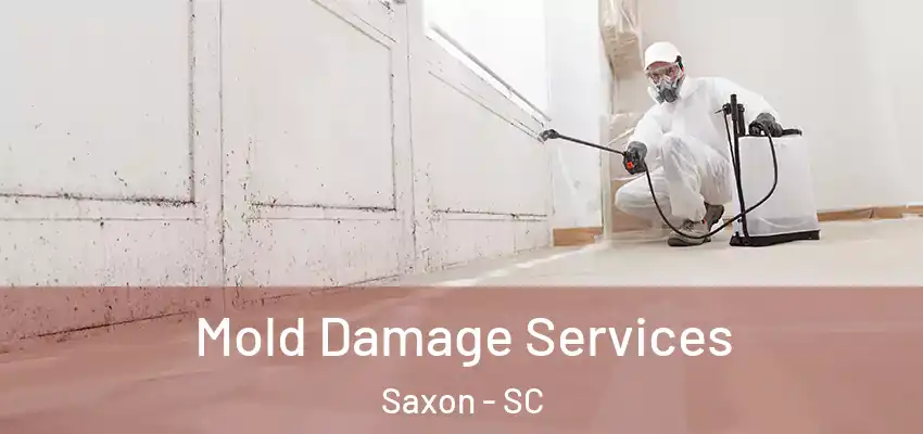 Mold Damage Services Saxon - SC