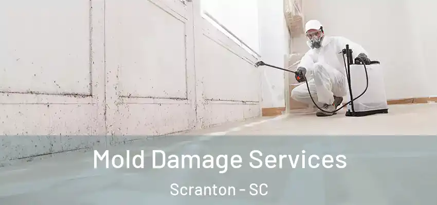  Mold Damage Services Scranton - SC