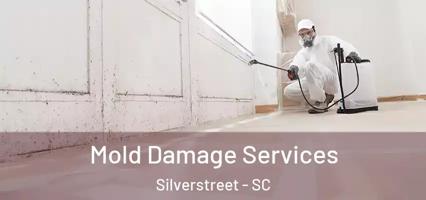 Mold Damage Services Silverstreet - SC