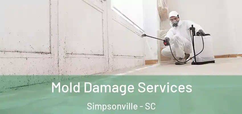 Mold Damage Services Simpsonville - SC