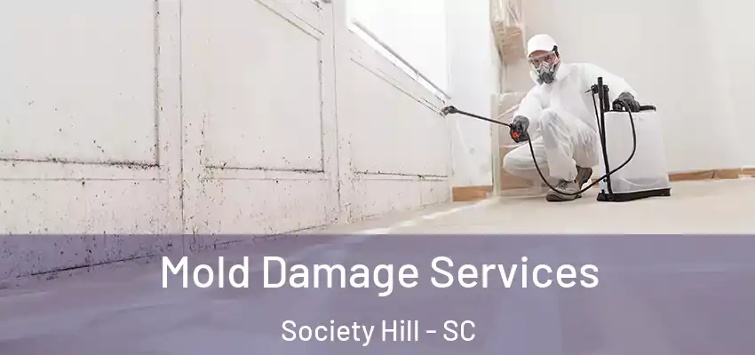  Mold Damage Services Society Hill - SC