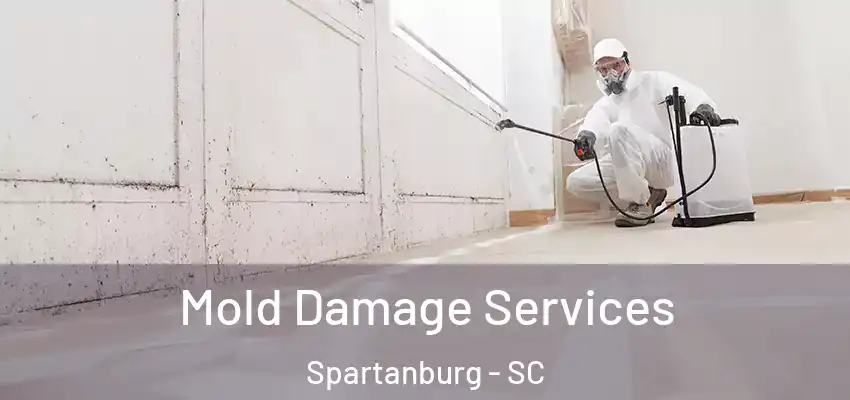  Mold Damage Services Spartanburg - SC
