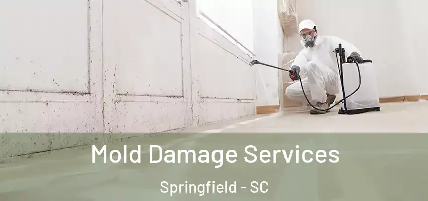  Mold Damage Services Springfield - SC