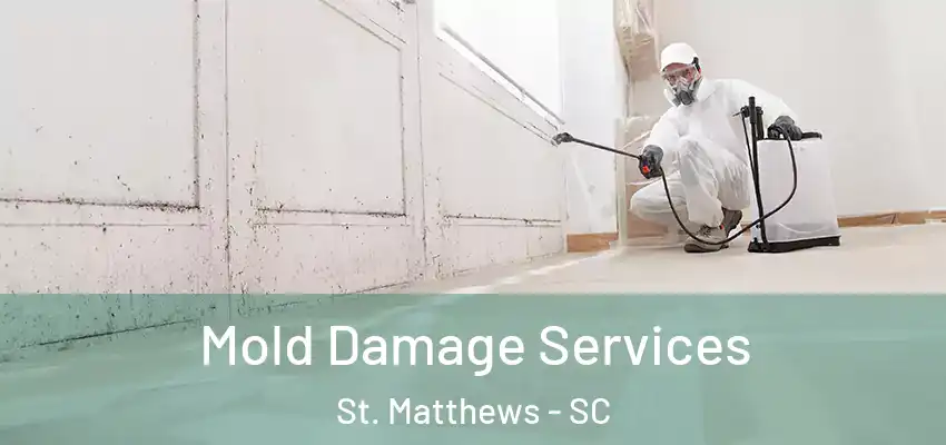 Mold Damage Services St. Matthews - SC