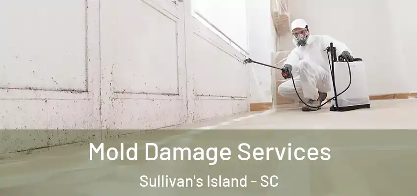  Mold Damage Services Sullivan's Island - SC