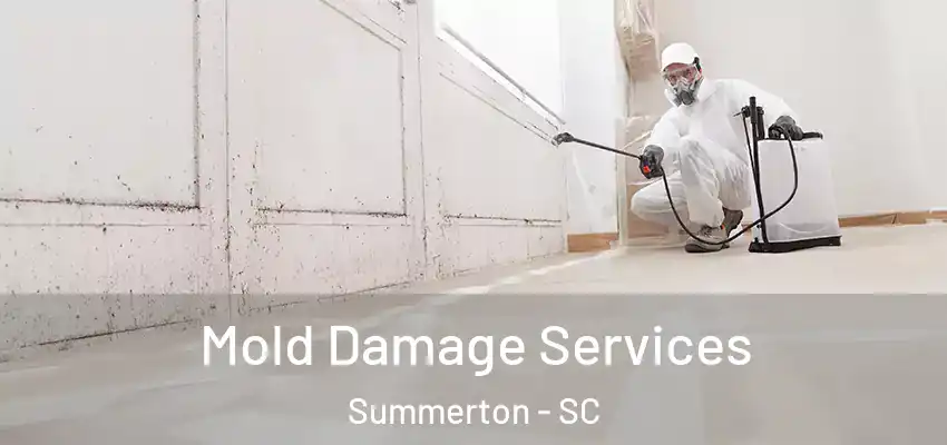 Mold Damage Services Summerton - SC