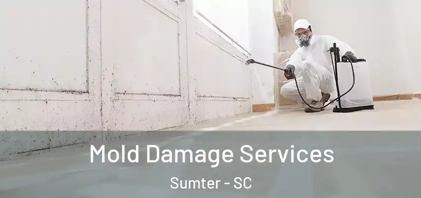  Mold Damage Services Sumter - SC