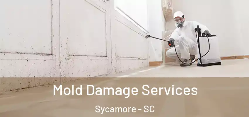  Mold Damage Services Sycamore - SC