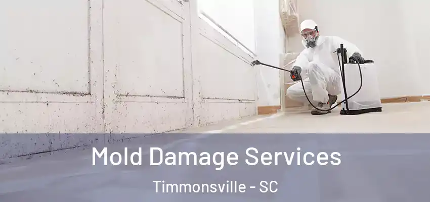  Mold Damage Services Timmonsville - SC