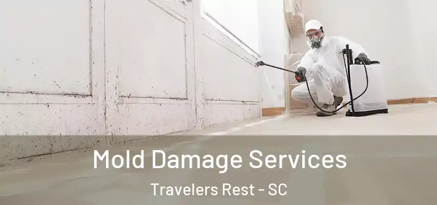  Mold Damage Services Travelers Rest - SC