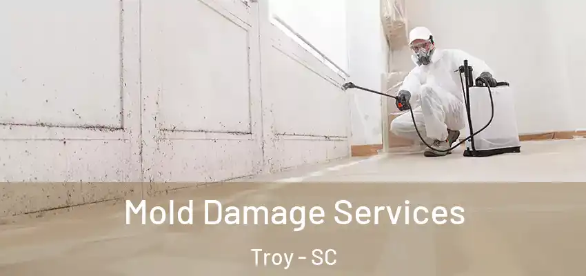 Mold Damage Services Troy - SC