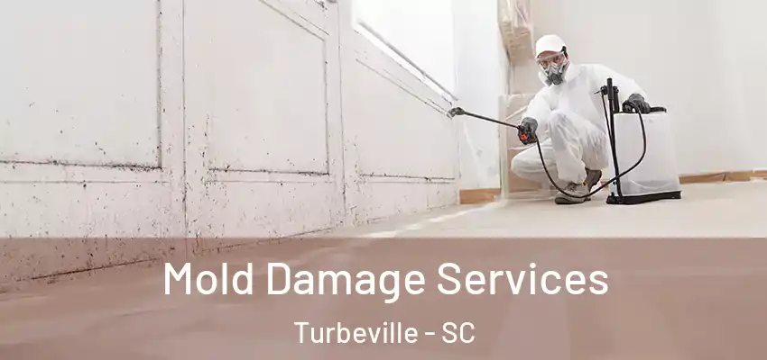  Mold Damage Services Turbeville - SC