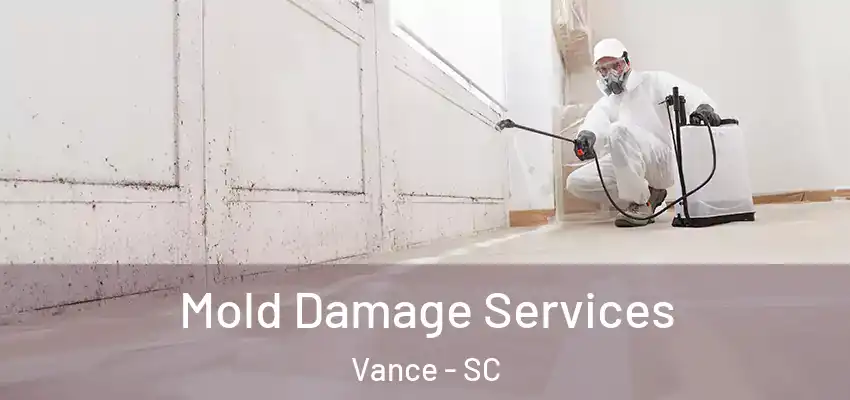 Mold Damage Services Vance - SC