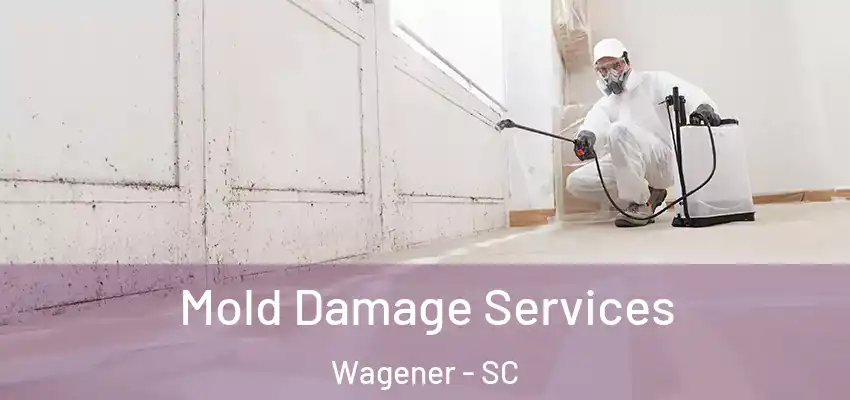 Mold Damage Services Wagener - SC