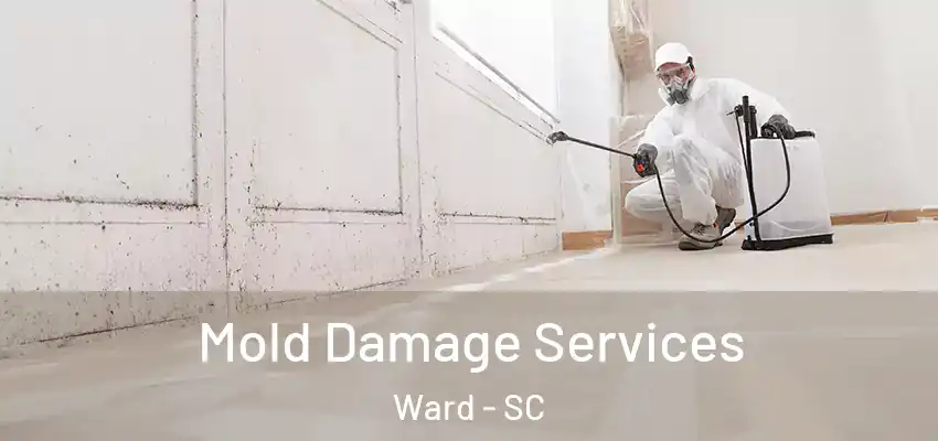 Mold Damage Services Ward - SC