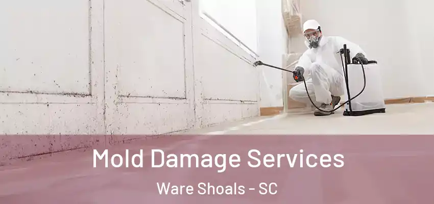 Mold Damage Services Ware Shoals - SC