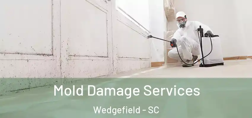 Mold Damage Services Wedgefield - SC